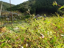 20181018 (9)