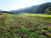 20180722 (8)