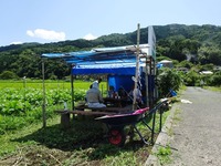20170819 (15)