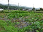 20170708 (4)