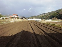 2011213¡¡ (8)