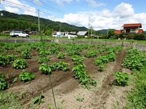 20180911 (27)