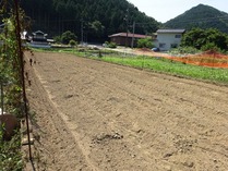 20180804 (23)