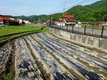 20180512 (5)