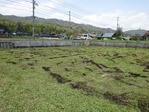 20170415 (26)