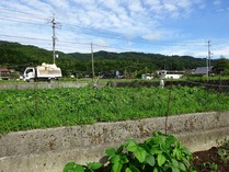20180911 (12)
