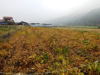 20171106 (7)