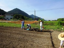 20180819 (14)