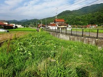 20180728 (8)