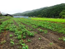 20180825 (10)