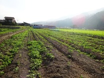 20180819 (1)