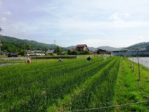 20180512 (17)