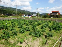 20181009 (18)