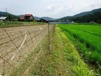 20170722 (31)