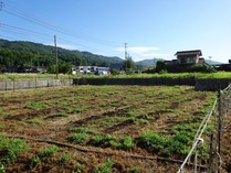 20180722 (7)