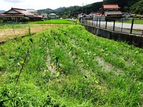 20180722 (28)