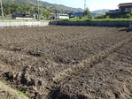 20170423 (1)