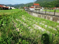 20180714 (6)