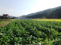 20181009 (10)