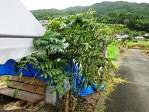 20180825 (5)