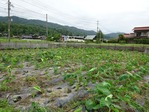 20170708 (8)