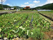 20180722 (29)