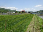 20170514 (34)