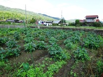 20180922 (3)