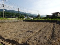 20180728 (7)