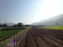 20180804 (3)