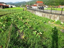 20180819 (3)