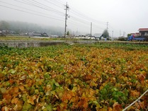 20171106 (9)