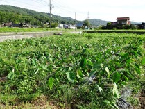 20180911 (6)