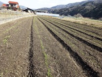 20180217 (5)