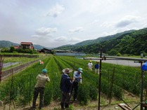 20180512 (21)
