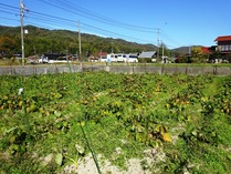 20181105 (7)