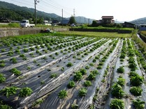 20180602 (8)
