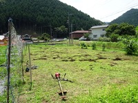 20170722 (26)