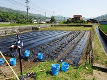 20180428 (16)