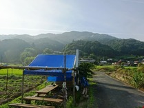 20180819 (9)