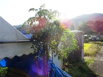 20181009 (12)