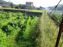 20181009 (9)