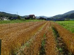 20170617¡¡ (3)