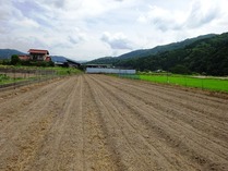 20180728 (24)