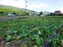 20180922 (8)