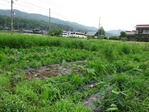 20170702 (19)