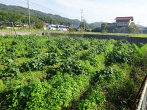 20181009 (8)
