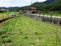 20170805¡¡ (30)
