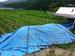 20170629 (8)