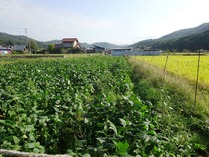 20181009 (11)